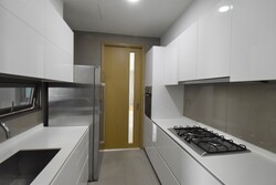 Skyline Residences (D4), Condominium #304479701
